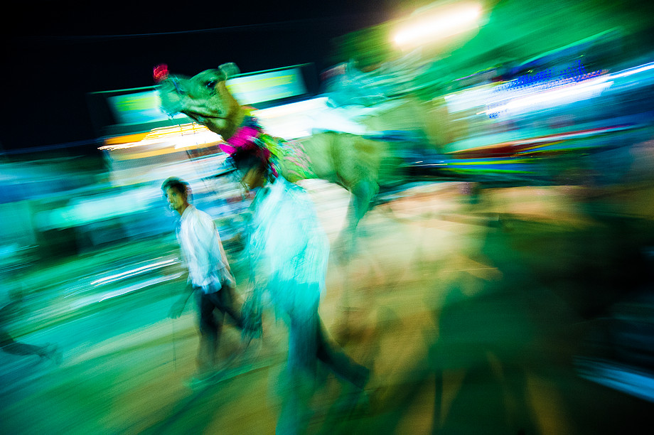 Wielbłądy w Pushkarze (więcej w galerii "Pushkar Camel Fair") (Indie. Dzień jak nie codzień.)